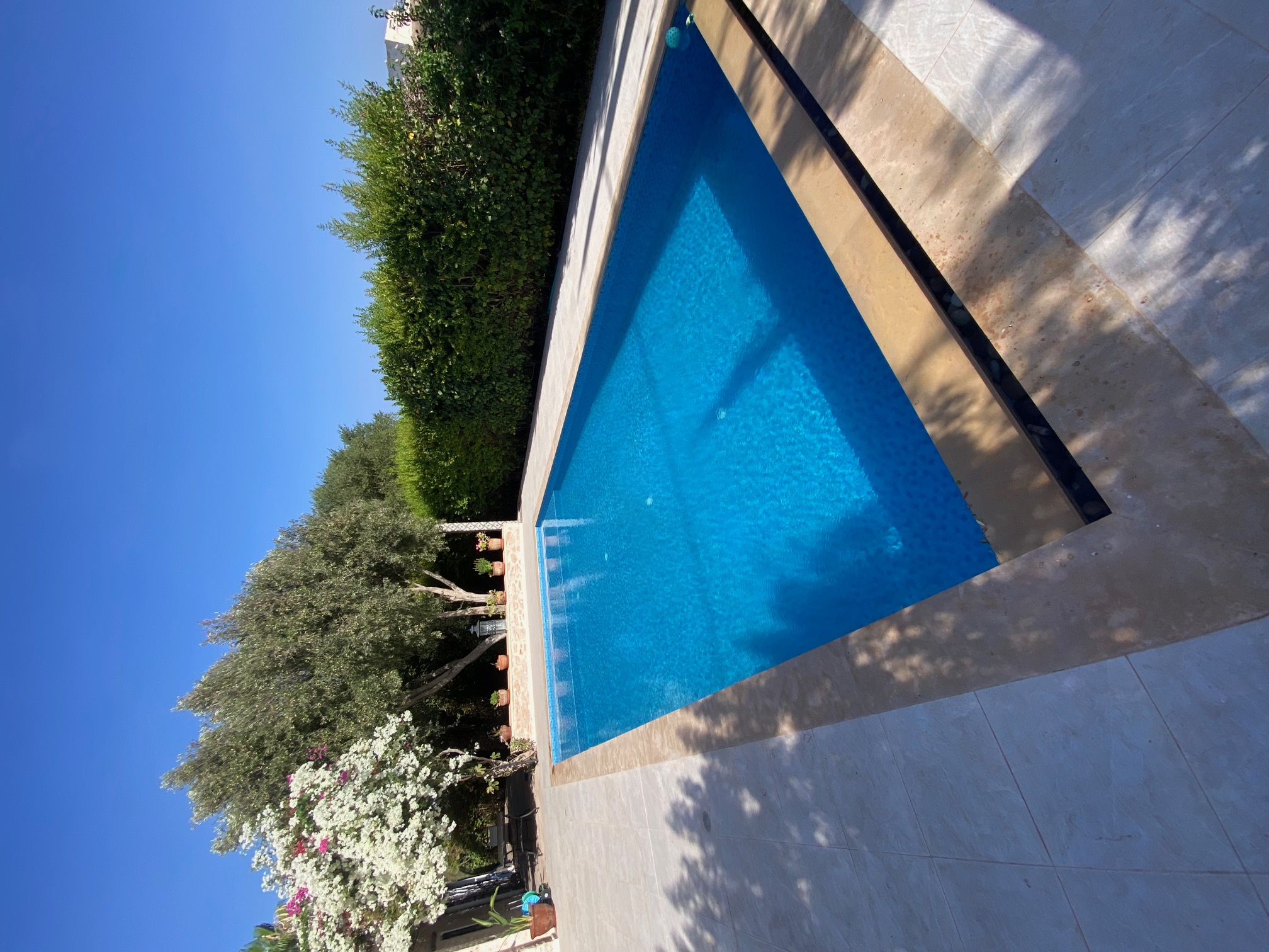 Piscine et terrasse après les travaux